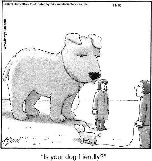 "Is your dog friendly?"