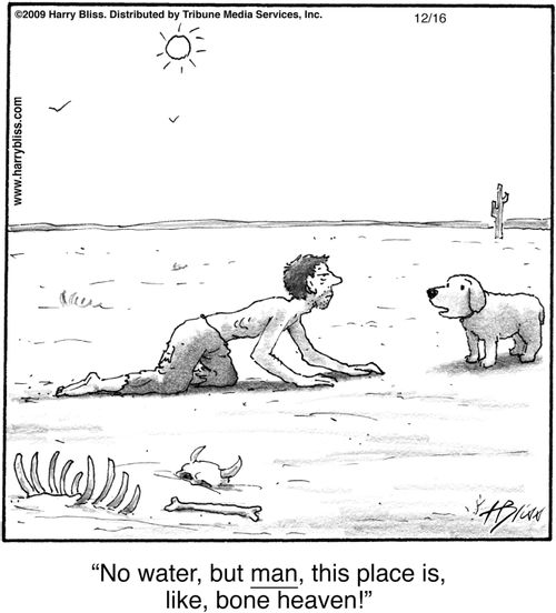 "No water, but man, this place is, like, bone heaven!"