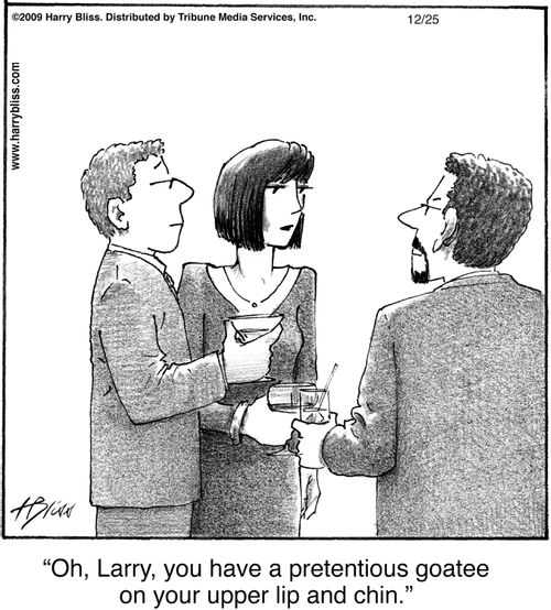 "Oh, Larry, you have a pretentious goatee on your upper lip and chin."