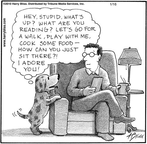 "Hey, stupid, what's up? What are you reading? Let's go for a walk, play with me, cook some food—how can you just sit there?! I adore you!"