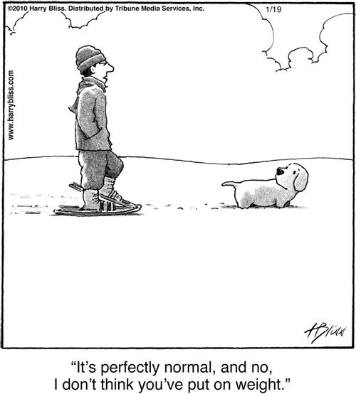 "It's perfectly normal, and no, I don’t think you’ve put on weight."