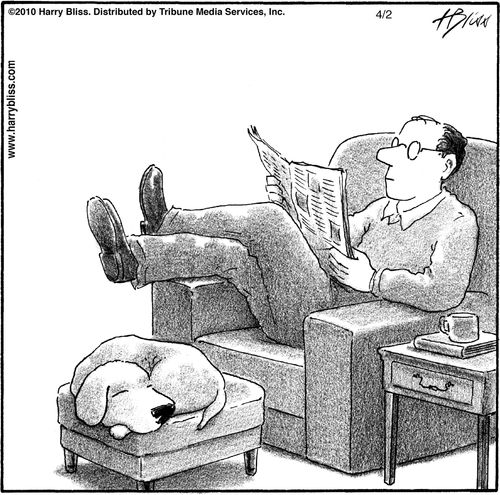"Wouldn't it be fascinating if dogs could read our thoughts? Or would it be horrifying?"