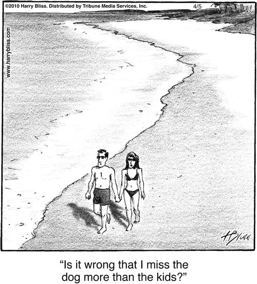"Is it wrong that I miss the dog more than the kids?"