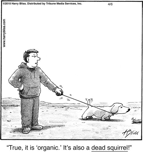 "True, it is 'organic.' It's also a dead squirrel!"