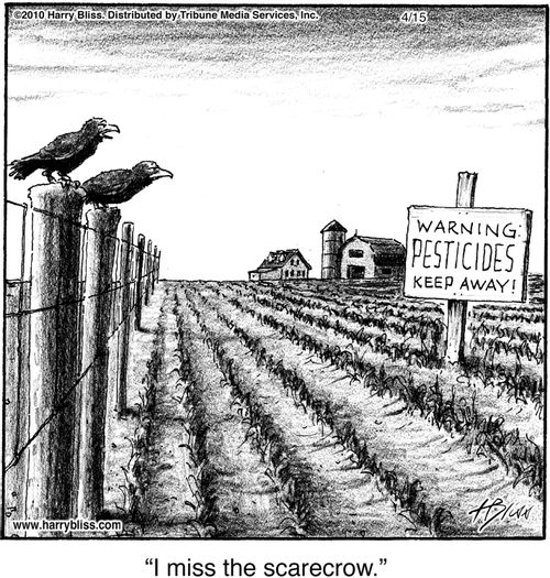 "I miss the scarecrow."