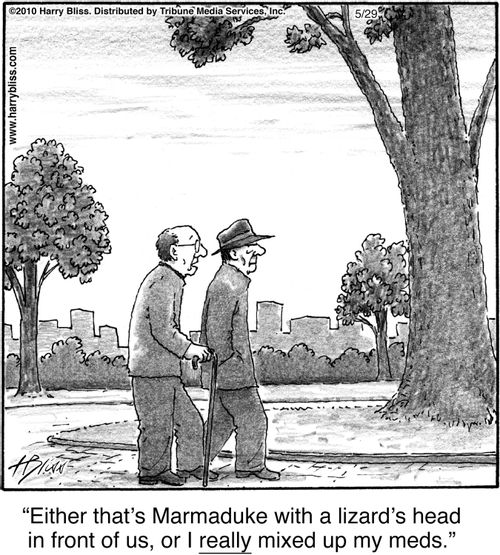 "Either that's Marmaduke with a lizard's head in front of us, or I really mixed up my meds."