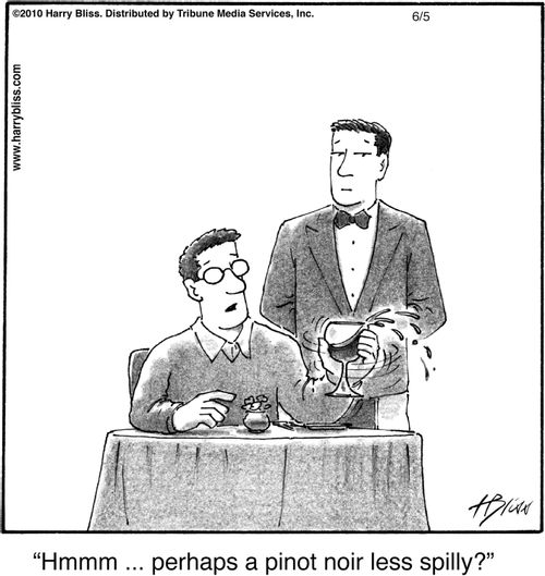 "Hmmm ... perhaps a pinot noir less spilly?"