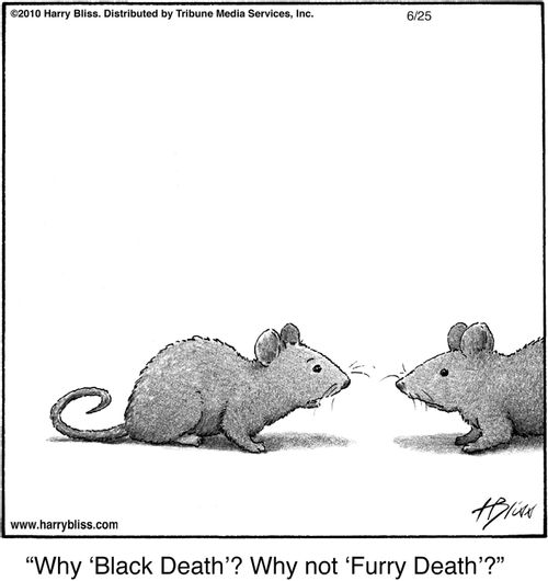 "Why ‘Black Death’? Why not ‘Furry Death’?"