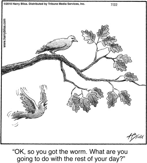 "Ok, so you got the worm. What are you going to do with the rest of your day?"