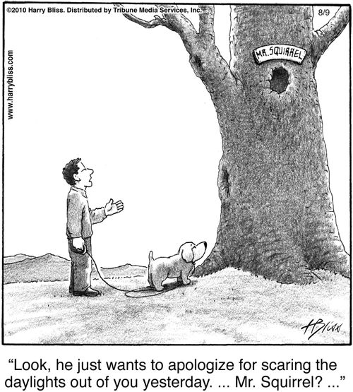 "Look, he just wants to apologize for scaring the daylights out of you yesterday. ... Mr. Squirrel? ..."
