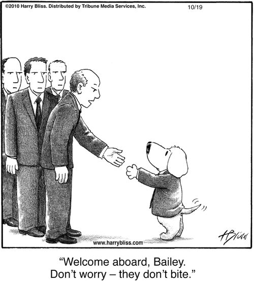 "Welcome aboard, Bailey. Don't worry — they don't bite."