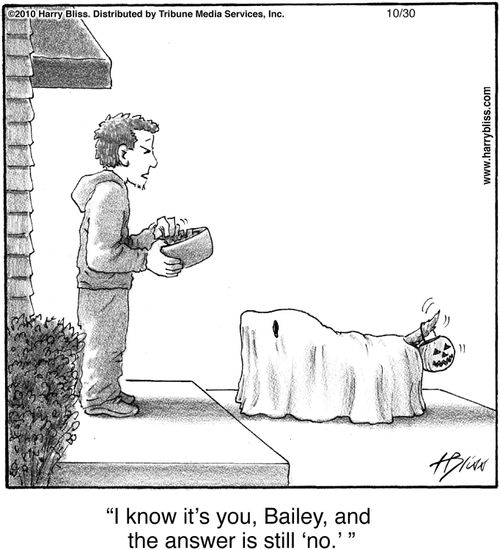 "I know it's you, Bailey, and the answer is still 'no.'"