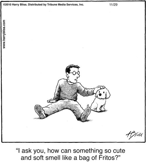 "I ask you, how can something so cute and soft smell like a bag of Fritos?"