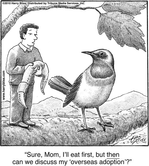 "Sure, Mom, I'll eat first, but then can we discuss my 'overseas adoption'?"