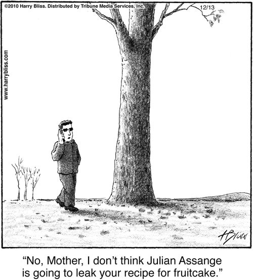 "No, Mother, I don't think Julian Assange is going to leak your recipe for fruitcake."