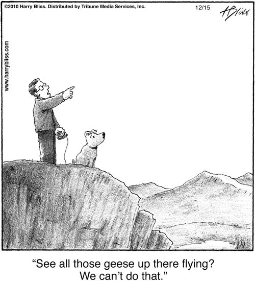 "See all those geese up there flying? We can't do that."