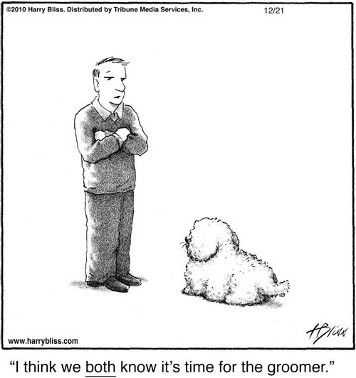 "I think we both know it's time for the groomer."