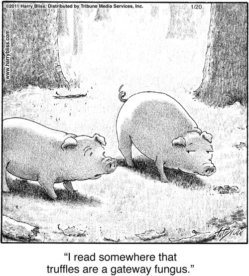 "I read somewhere that truffles are a gateway fungus."