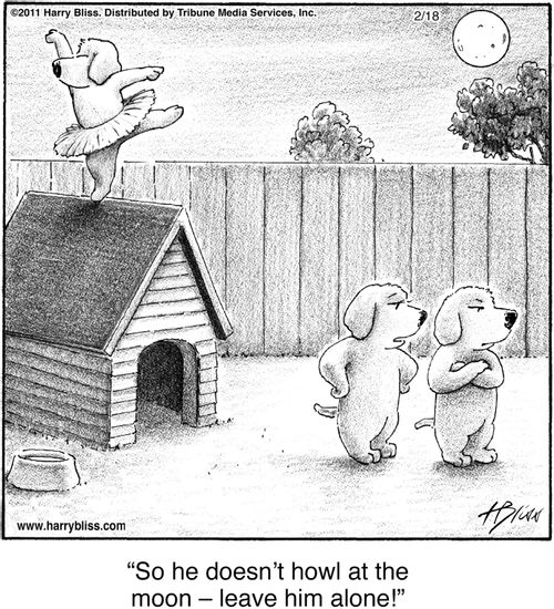 "So he doesn't howl at the moon – leave him alone!"