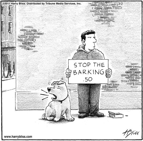 "Stop the barking .50"