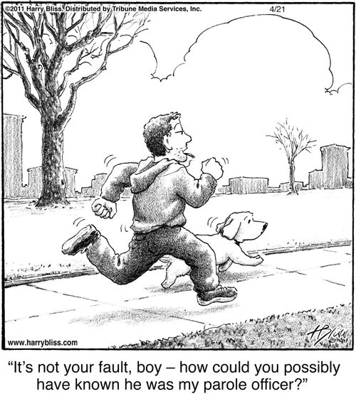 "It's not your fault, boy – how could you possibly have known he was my parole officer?"