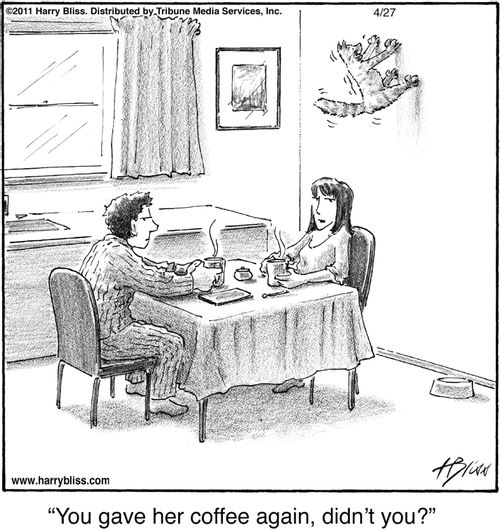 "You gave her coffee again, didn’t you?"