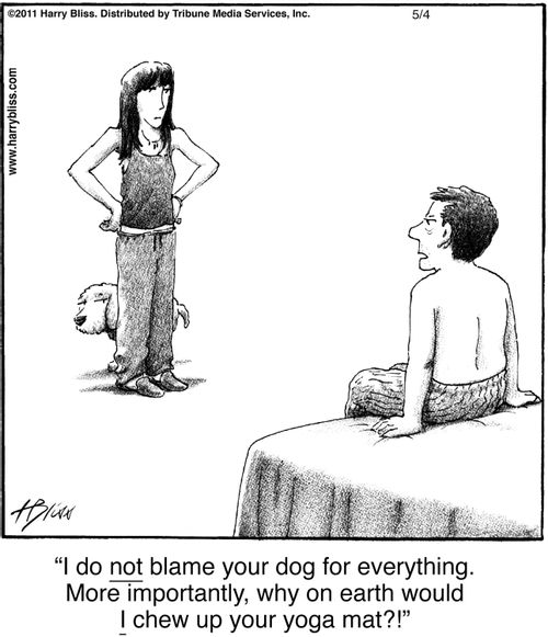 "I do not blame your dog for everything. More importantly, why on earth would I chew up your yoga mat?!"
