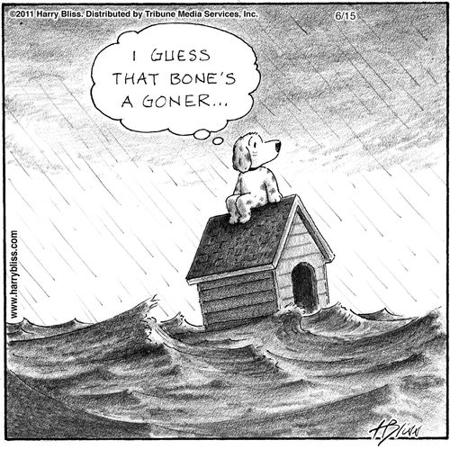 "I guess that bone's a goner..."