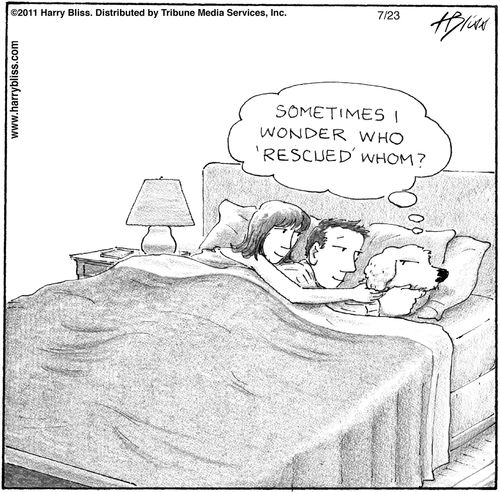 "Sometimes I wonder who 'rescued' whom?"