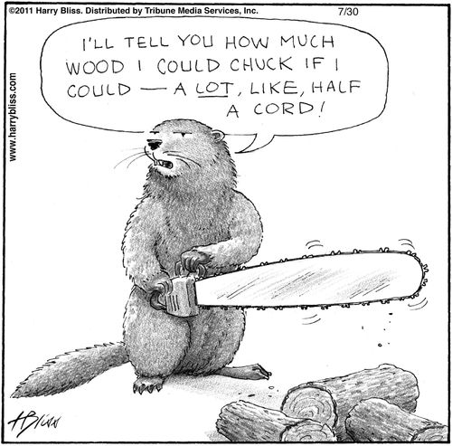 "I'll tell you how much wood I could chuck if I could—a lot, like, half a cord!"
