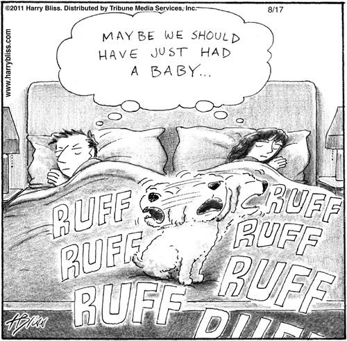 "Maybe we should have just had a baby..."
