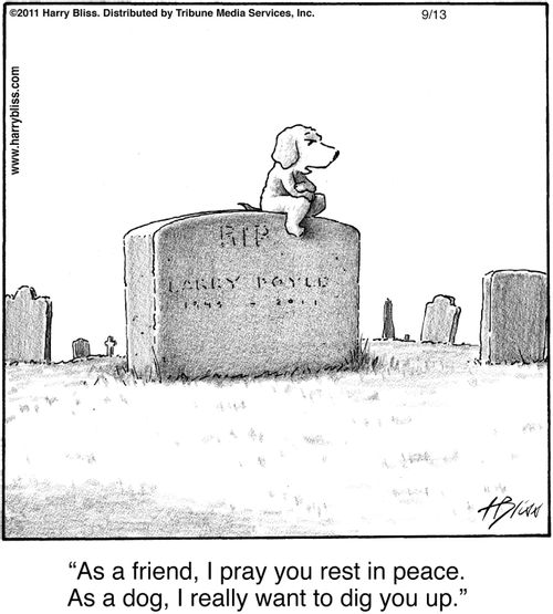 "As a friend, I pray you rest in peace. As a dog, I really want to dig you up."