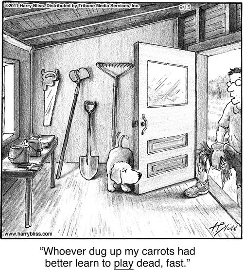 "Whoever dug up my carrots had better learn to play dead, fast."