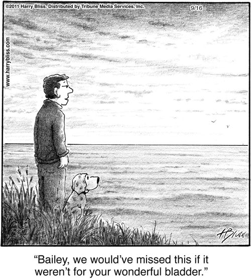 "Bailey, we would've missed this if it weren't for your wonderful bladder."