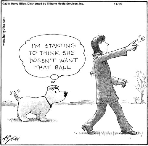"I'm starting to think she doesn't want that ball"