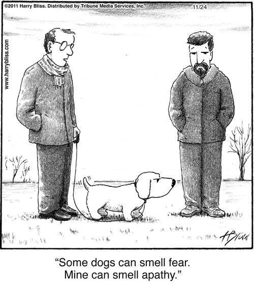 "Some dogs can smell fear. Mine can smell apathy."