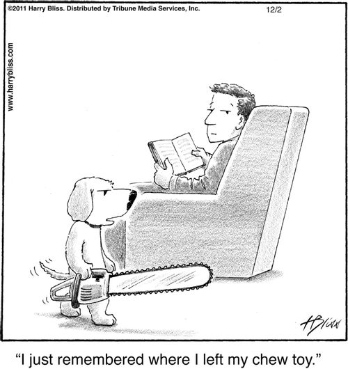 "I just remembered where I left my chew toy."