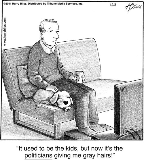 "It used to be the kids, but now it's the politicians giving me gray hairs!"