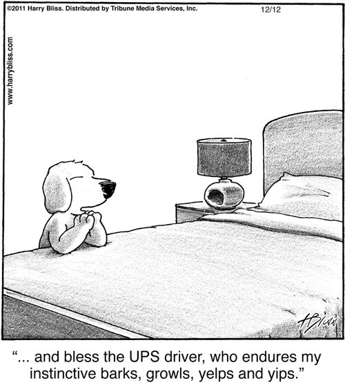 "... and bless the UPS driver, who endures my instinctive barks, growls, yelps and yips."