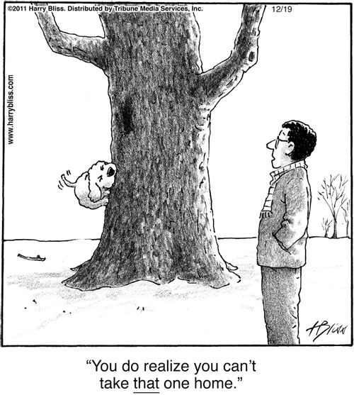 "You do realize you can't take that one home."