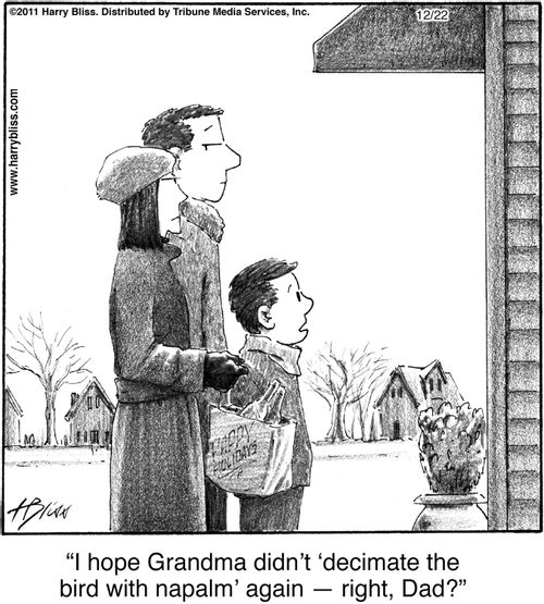 "I hope Grandma didn’t ‘decimate the bird with napalm’ again — right, Dad?"