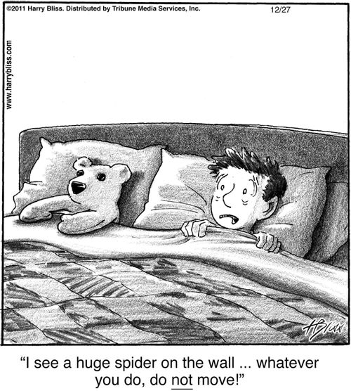 "I see a huge spider on the wall ... whatever you do, do not move!"