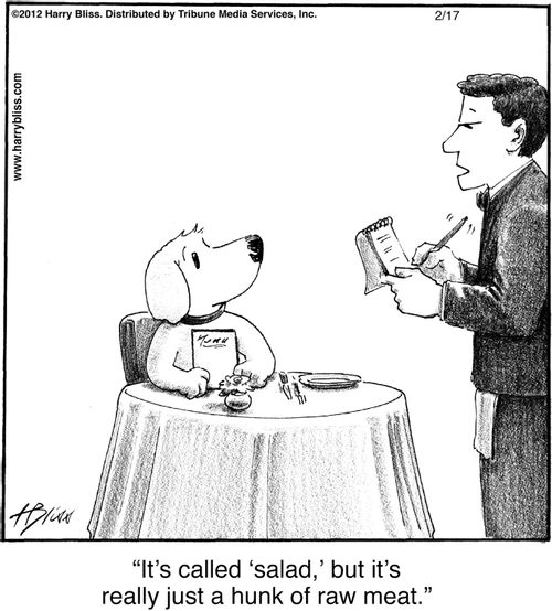 "It's called 'salad,' but it's really just a hunk of raw meat."