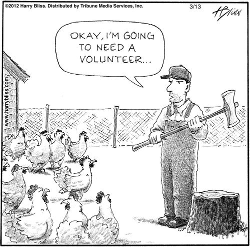 "Okay, I'm going to need a volunteer..."