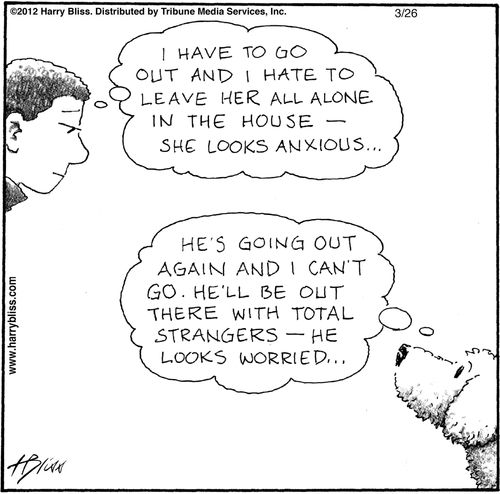"I have to go out and I hate to leave her all alone in the house — she looks anxious..."  "He's going out again and I can't go. He'll be out there with total strangers — he looks worried..."