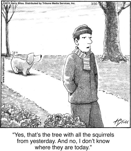 "Yes, that's the tree with all the squirrels from yesterday. And no, I don't know where they are today."