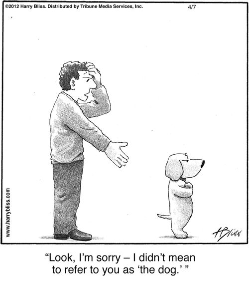 "Look, I'm sorry — I didn't mean to refer to you as 'the dog.'"