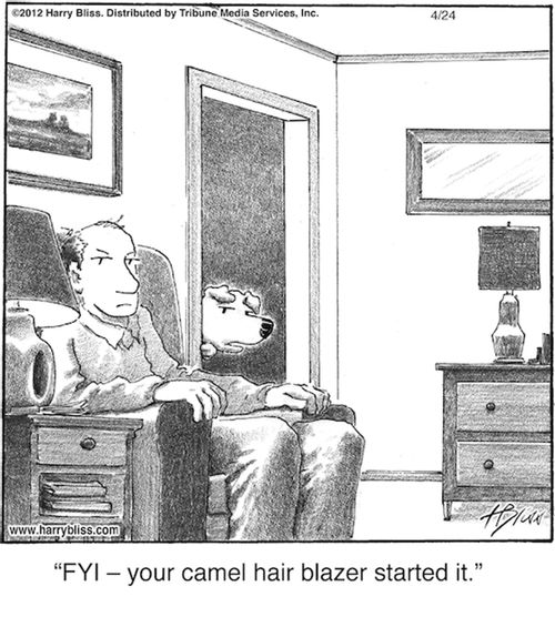 "FYI – your camel hair blazer started it."