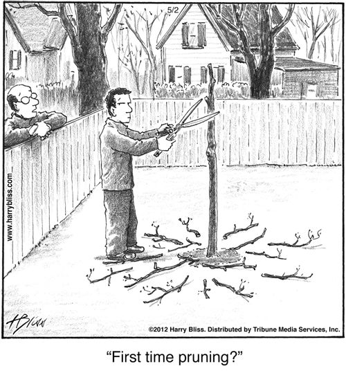 "First time pruning?"