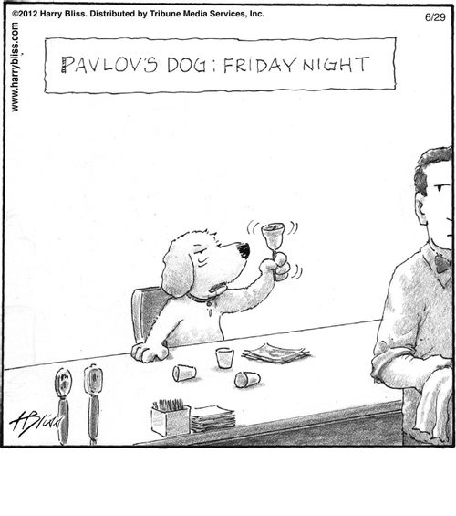 "Pavlov's dog: Friday night"